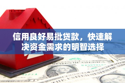 囊谦信用良好易批贷款，快速解决资金需求的明智选择