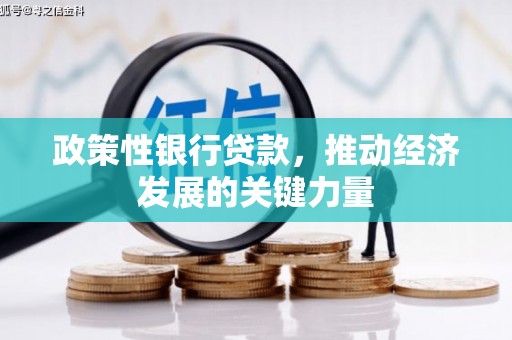 囊谦政策性银行贷款，推动经济发展的关键力量