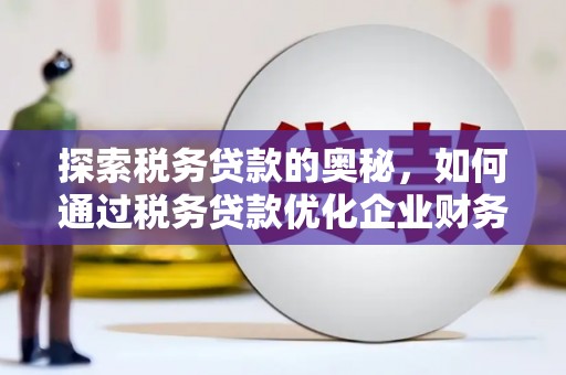 囊谦探索税务贷款的奥秘，如何通过税务贷款优化企业财务