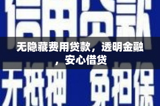 囊谦无隐藏费用贷款，透明金融，安心借贷