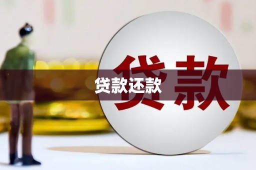 囊谦贷款还款