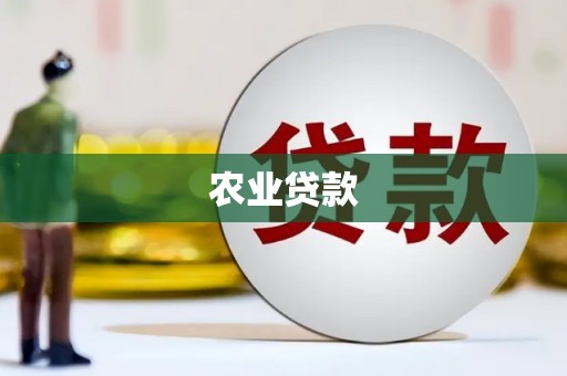 囊谦农业贷款