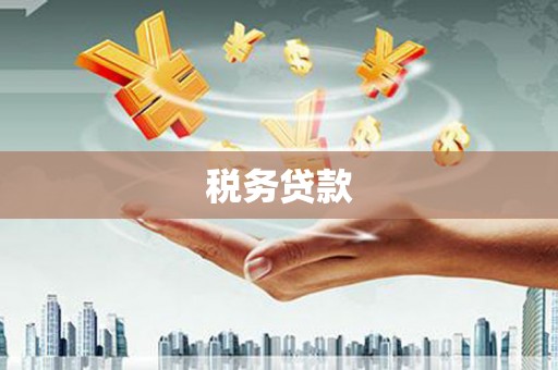 囊谦税务贷款
