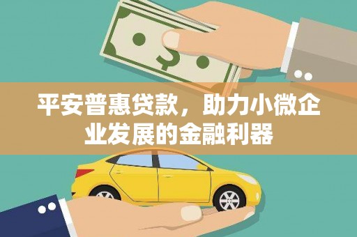 囊谦平安普惠贷款，助力小微企业发展的金融利器