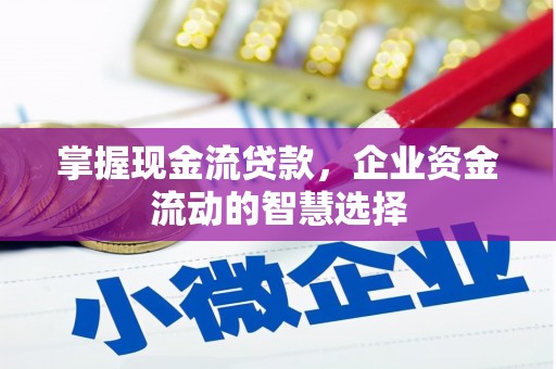 囊谦掌握现金流贷款，企业资金流动的智慧选择