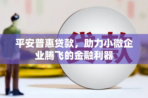 囊谦平安普惠贷款，助力小微企业腾飞的金融利器