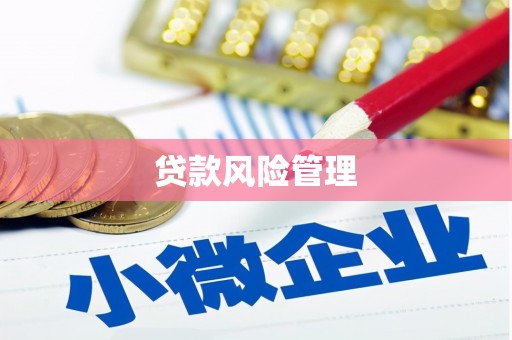 囊谦贷款风险管理