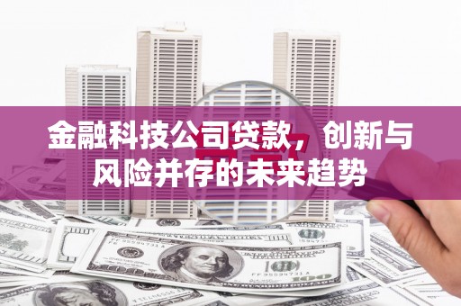 囊谦金融科技公司贷款，创新与风险并存的未来趋势