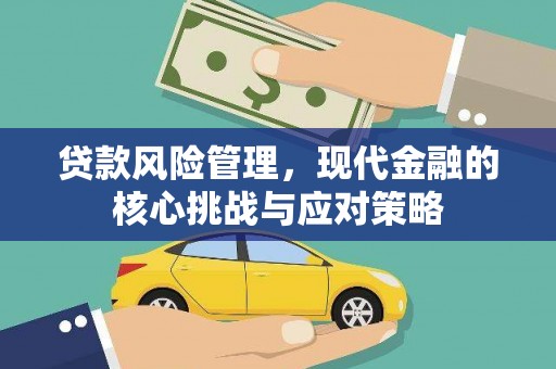 囊谦贷款风险管理，现代金融的核心挑战与应对策略