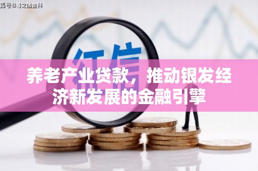 囊谦养老产业贷款，推动银发经济新发展的金融引擎
