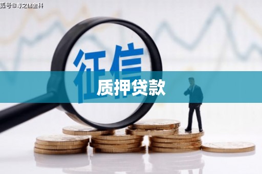 囊谦质押贷款