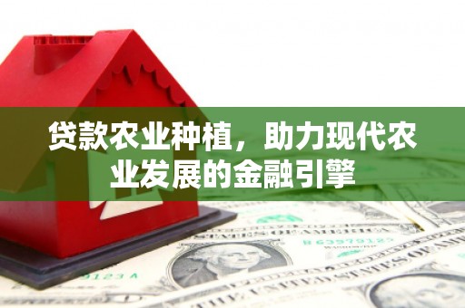 囊谦贷款农业种植，助力现代农业发展的金融引擎
