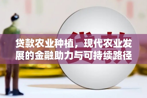 囊谦贷款农业种植，现代农业发展的金融助力与可持续路径