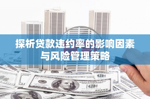 囊谦探析贷款违约率的影响因素与风险管理策略