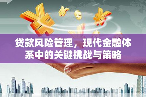 囊谦贷款风险管理，现代金融体系中的关键挑战与策略