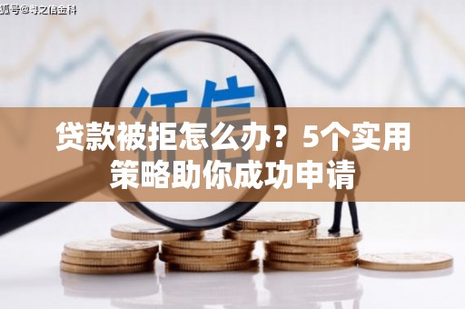 囊谦贷款被拒怎么办？5个实用策略助你成功申请