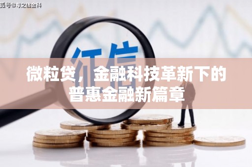 囊谦微粒贷，金融科技革新下的普惠金融新篇章