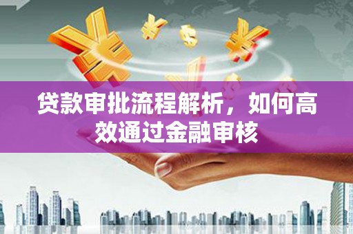 囊谦贷款审批流程解析，如何高效通过金融审核