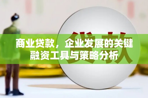 囊谦商业贷款，企业发展的关键融资工具与策略分析
