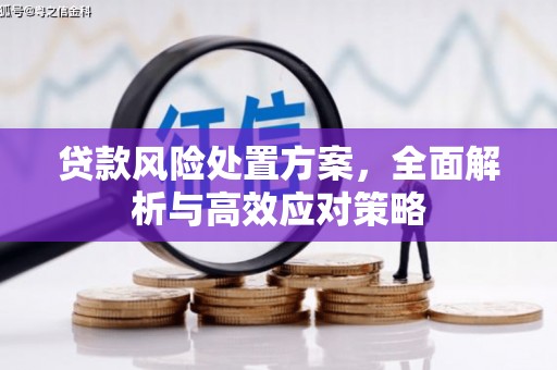 囊谦贷款风险处置方案，全面解析与高效应对策略