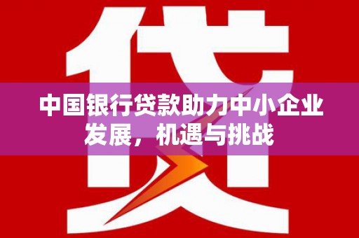 囊谦中国银行贷款助力中小企业发展，机遇与挑战