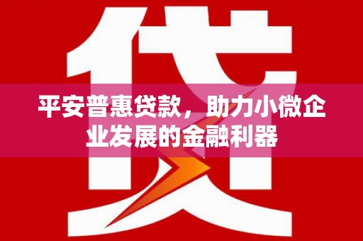 囊谦平安普惠贷款，助力小微企业发展的金融利器