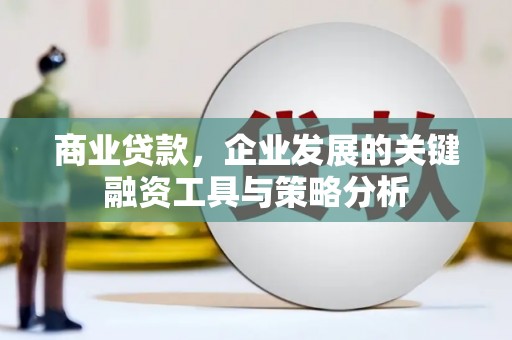 囊谦商业贷款，企业发展的关键融资工具与策略分析