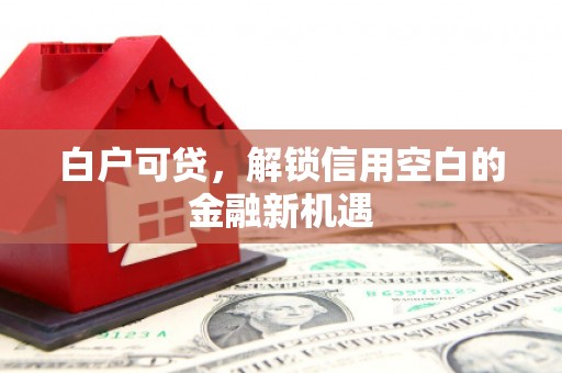 囊谦白户可贷，解锁信用空白的金融新机遇