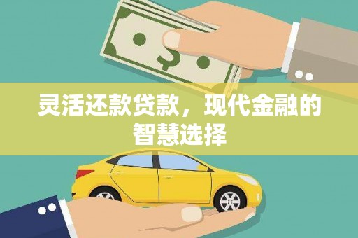 囊谦灵活还款贷款，现代金融的智慧选择