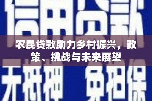囊谦农民贷款助力乡村振兴，政策、挑战与未来展望