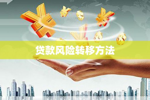 囊谦贷款风险转移方法