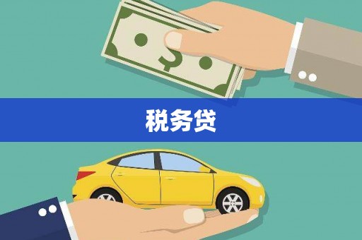 囊谦税务贷