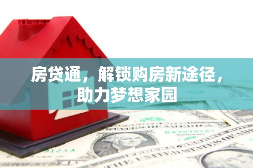 囊谦房贷通，解锁购房新途径，助力梦想家园
