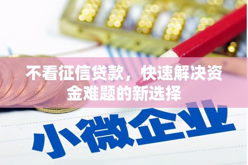 囊谦不看征信贷款，快速解决资金难题的新选择