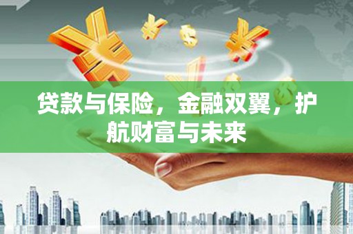 囊谦贷款与保险，金融双翼，护航财富与未来