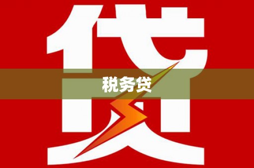 囊谦税务贷