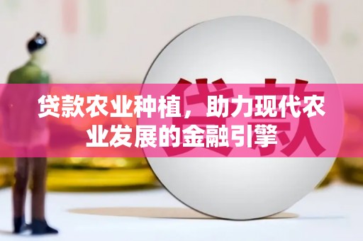 囊谦贷款农业种植，助力现代农业发展的金融引擎