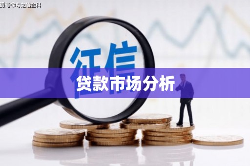囊谦贷款市场分析