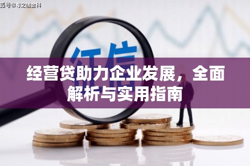 囊谦经营贷助力企业发展，全面解析与实用指南