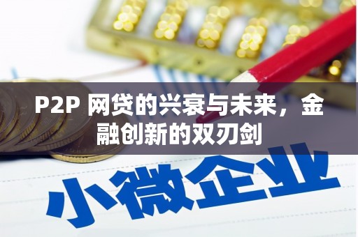 囊谦P2P 网贷的兴衰与未来，金融创新的双刃剑