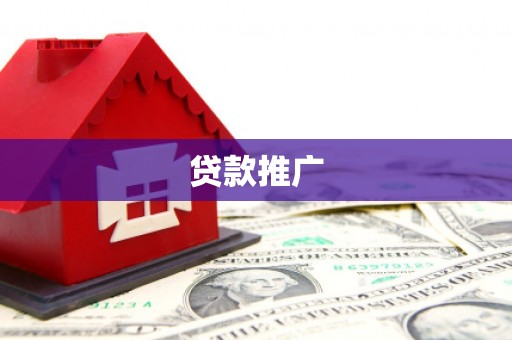 囊谦贷款推广