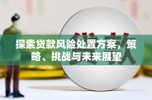 囊谦探索贷款风险处置方案，策略、挑战与未来展望