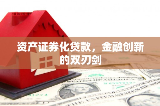 囊谦资产证券化贷款，金融创新的双刃剑