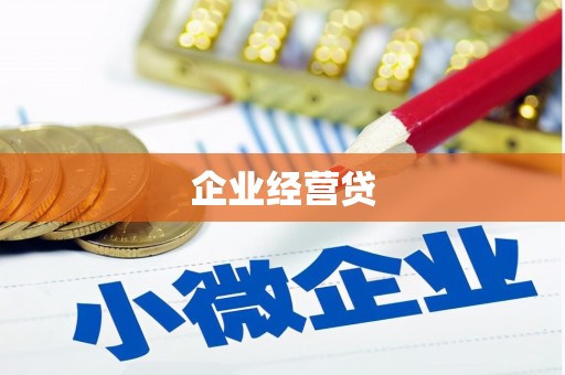囊谦企业经营贷