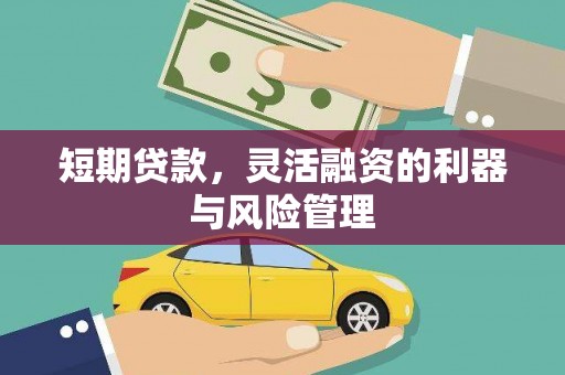 囊谦短期贷款，灵活融资的利器与风险管理