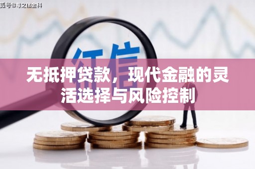 囊谦无抵押贷款，现代金融的灵活选择与风险控制