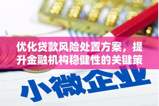 囊谦优化贷款风险处置方案，提升金融机构稳健性的关键策略