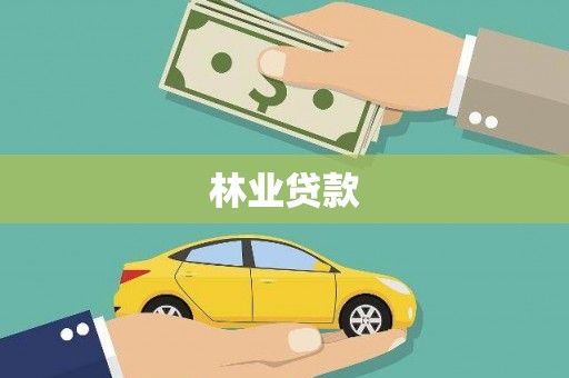 囊谦林业贷款