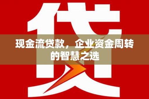 囊谦现金流贷款，企业资金周转的智慧之选
