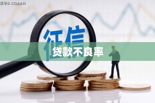 囊谦贷款不良率